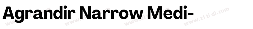 Agrandir Narrow Medi字体转换 Agrandir Narrow Medi字体转换